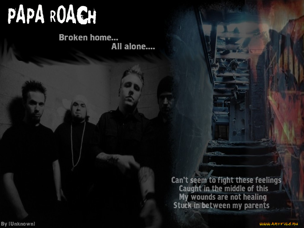 , papa, roach
